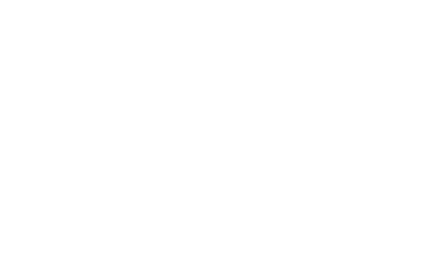 Logo-white